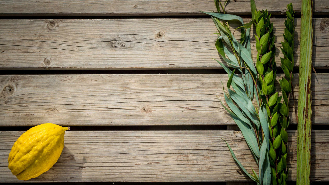 Who Owns the Arbah Minim? Lulav Law for Kids, Shuls, and Lemons