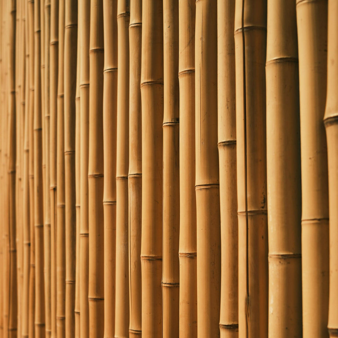 Bamboo Poles