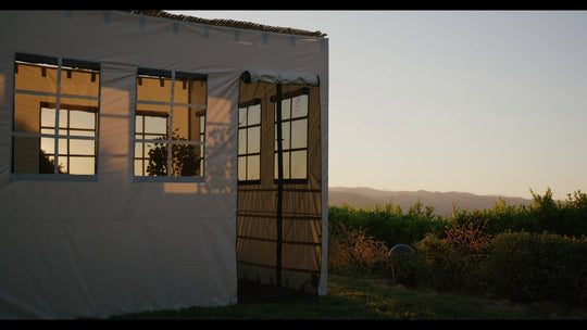 Your Sukkah: Why the Walls Don’t Matter (But The Roof Does)