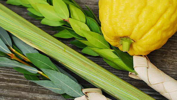 Best Etrog to Use for Sukkot? A Breakdown of Every Major Variety