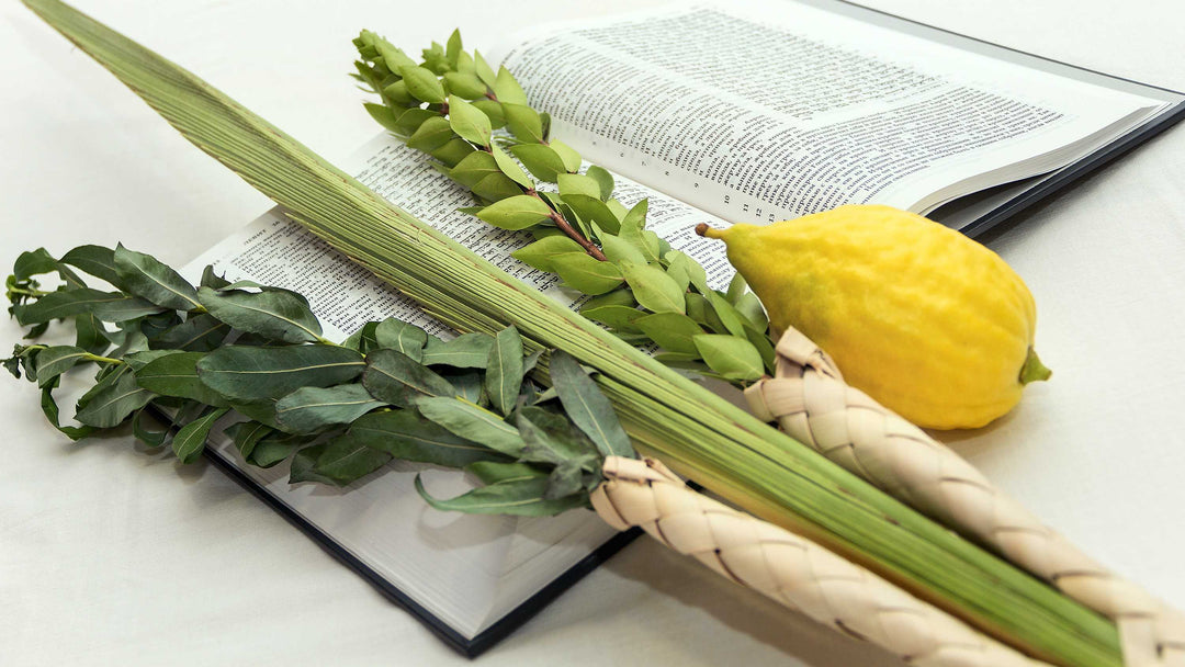 Lulav & Etrog Like a Pro: The Beginner’s Guide to Buying the Four Species