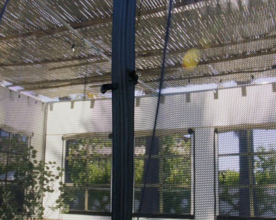 Buzz Off: How to Keep Bugs Out of Your Sukkah