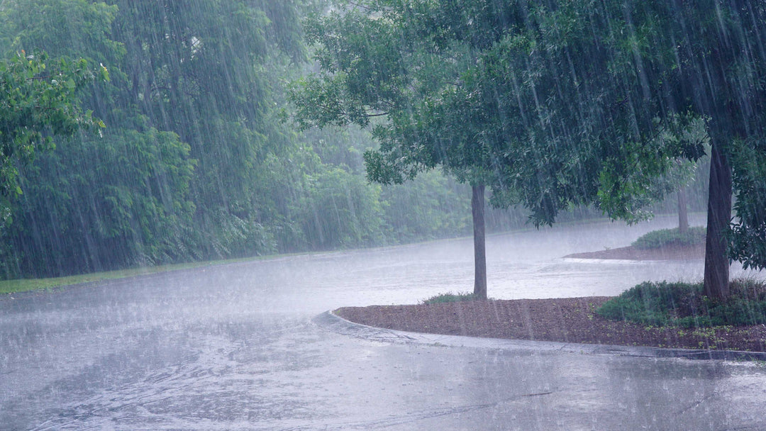 Rainy Sukkahs: Must You Brave the Rain or Can You Head Indoors?