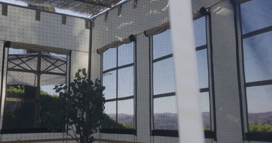 Deluxe Sukkah